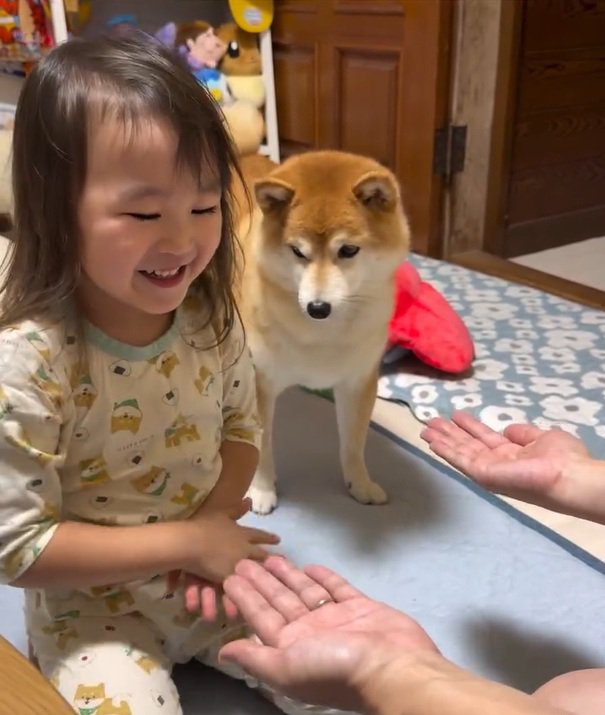 遊びたかったすずちゃん