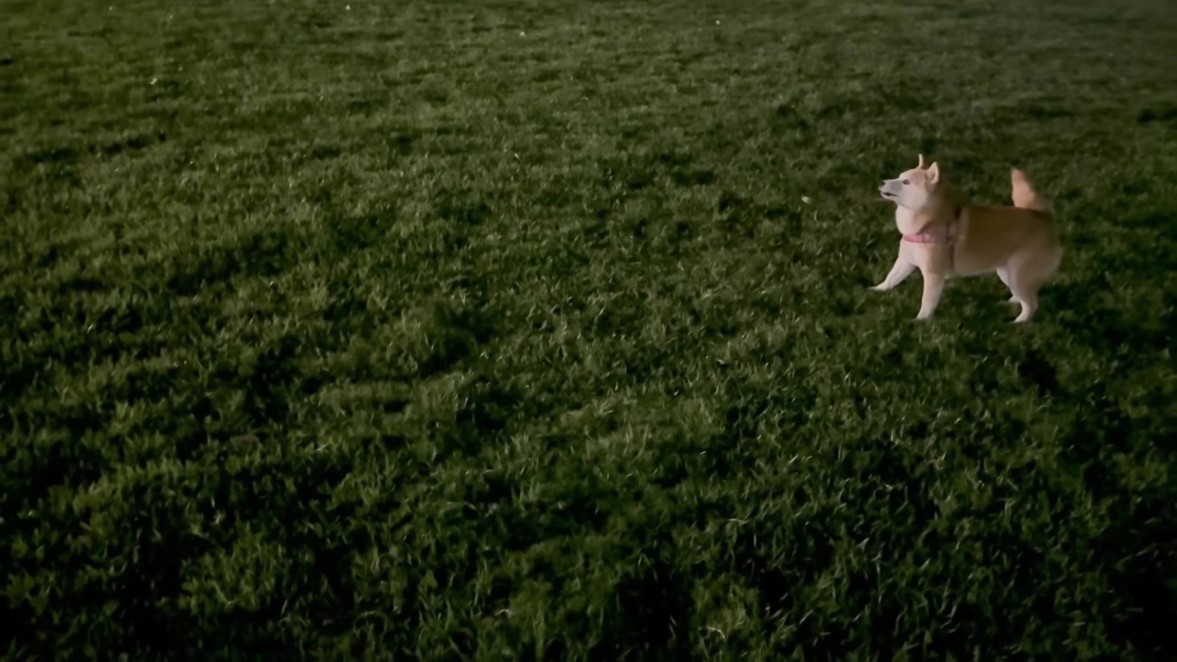 すっかり若返っちゃった！？