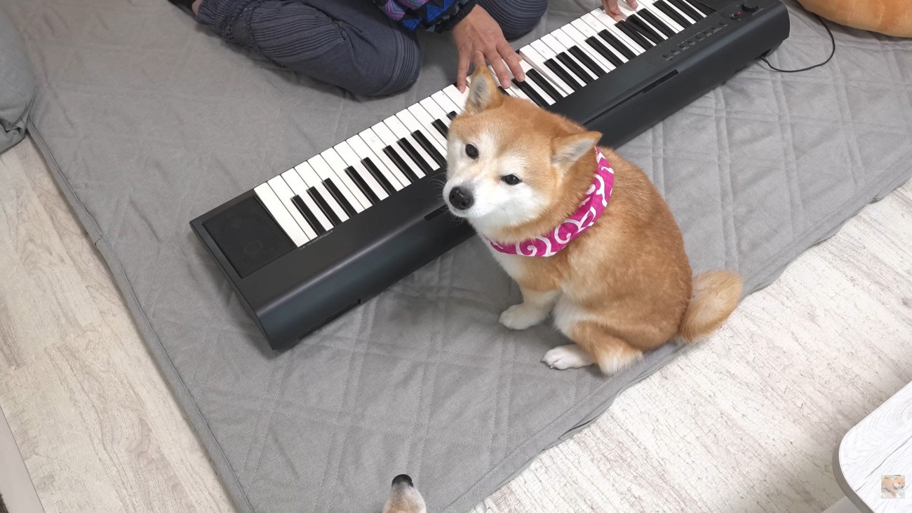 「わたしも頑張って練習しよう♪」