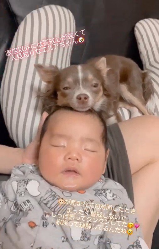 エルアちゃんと赤ちゃん3