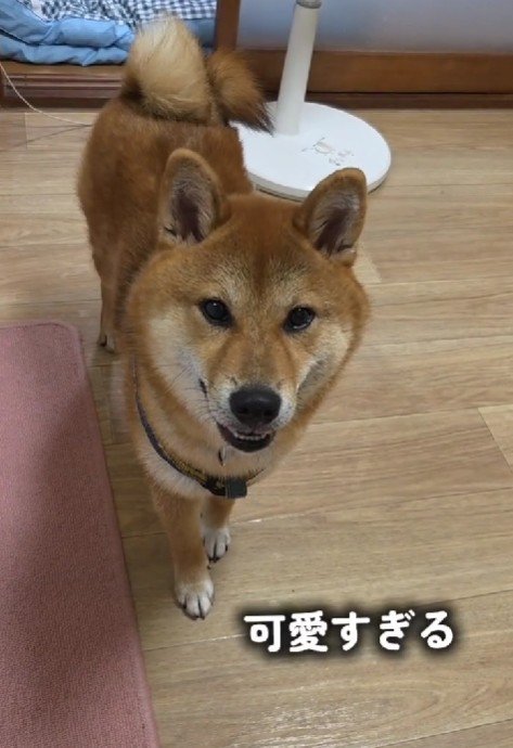 「今日の警備は終わりました！」