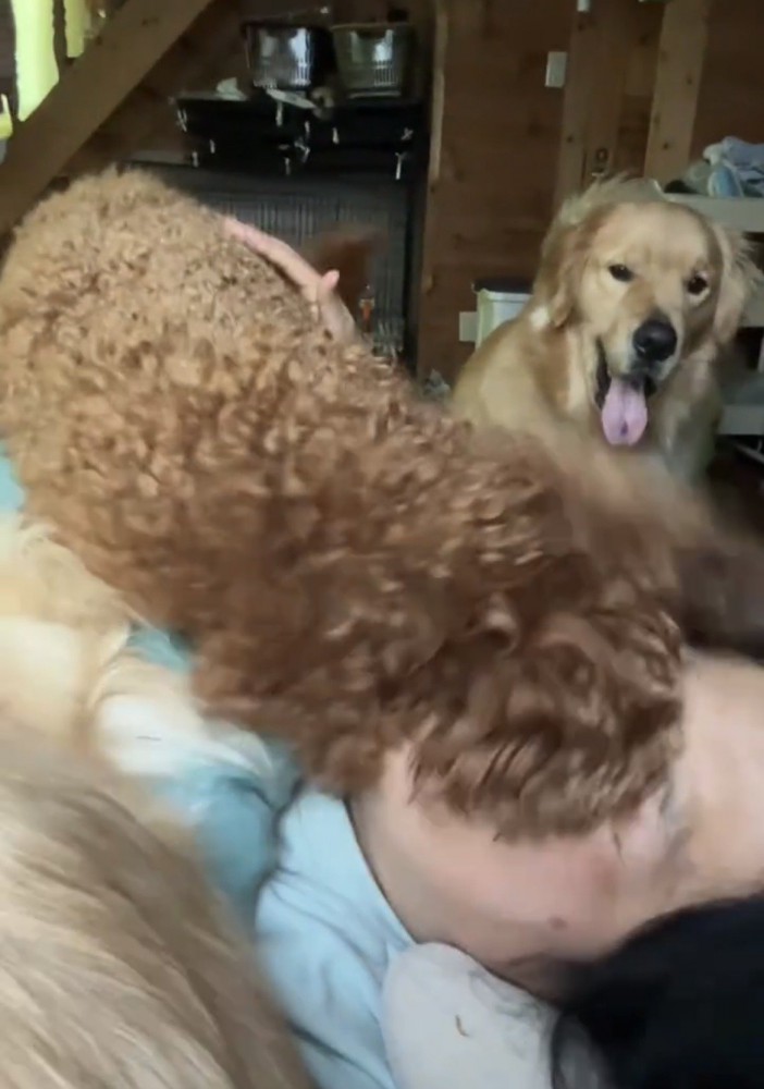 女性の顔に覆いかぶさる犬