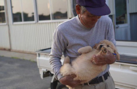 子犬のときから溺愛している