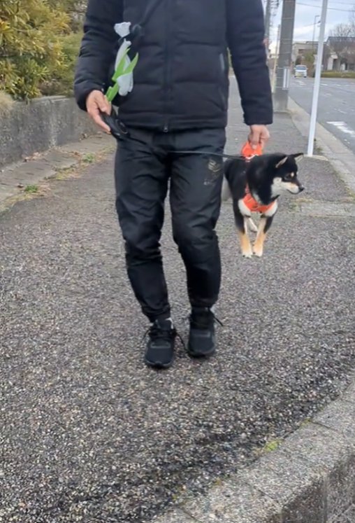 抱えられて横を向く犬2