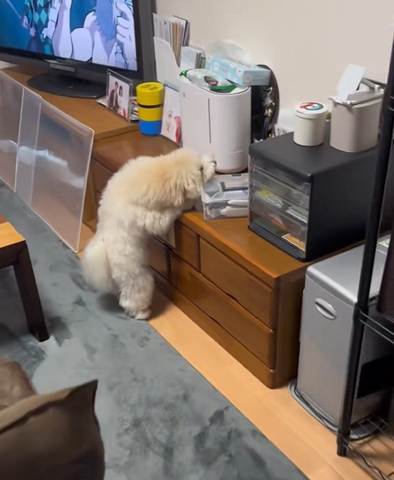イタズラしているてんてん君