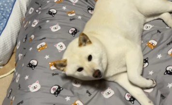 「待ってました」