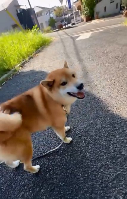 笑顔のぽてとくん