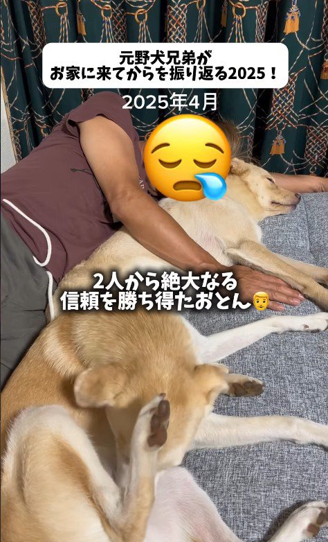 愛に溢れた光景にほっこり