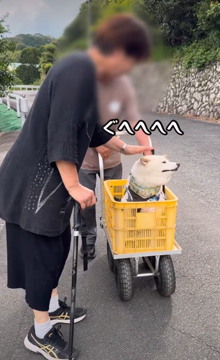 至れり尽くせりの時間…