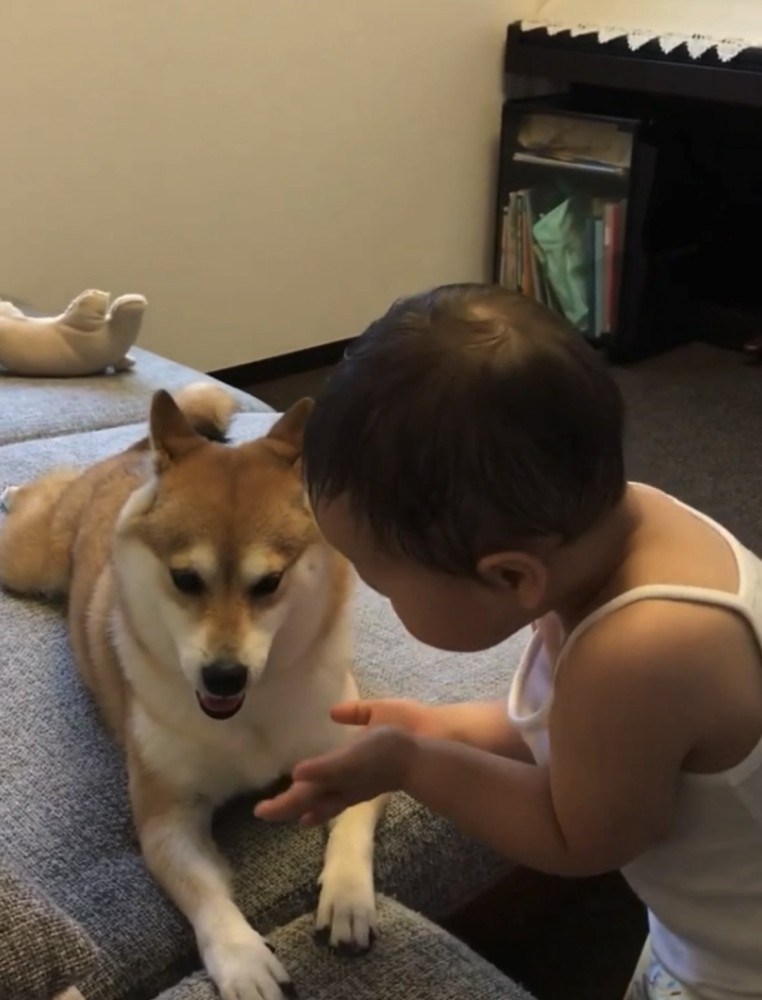 犬に手を向ける女の子2