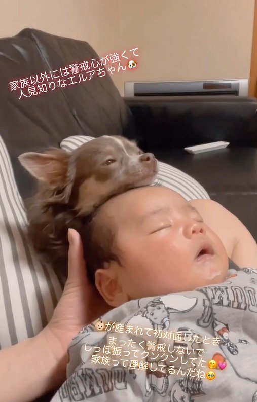 エルアちゃんと赤ちゃん4