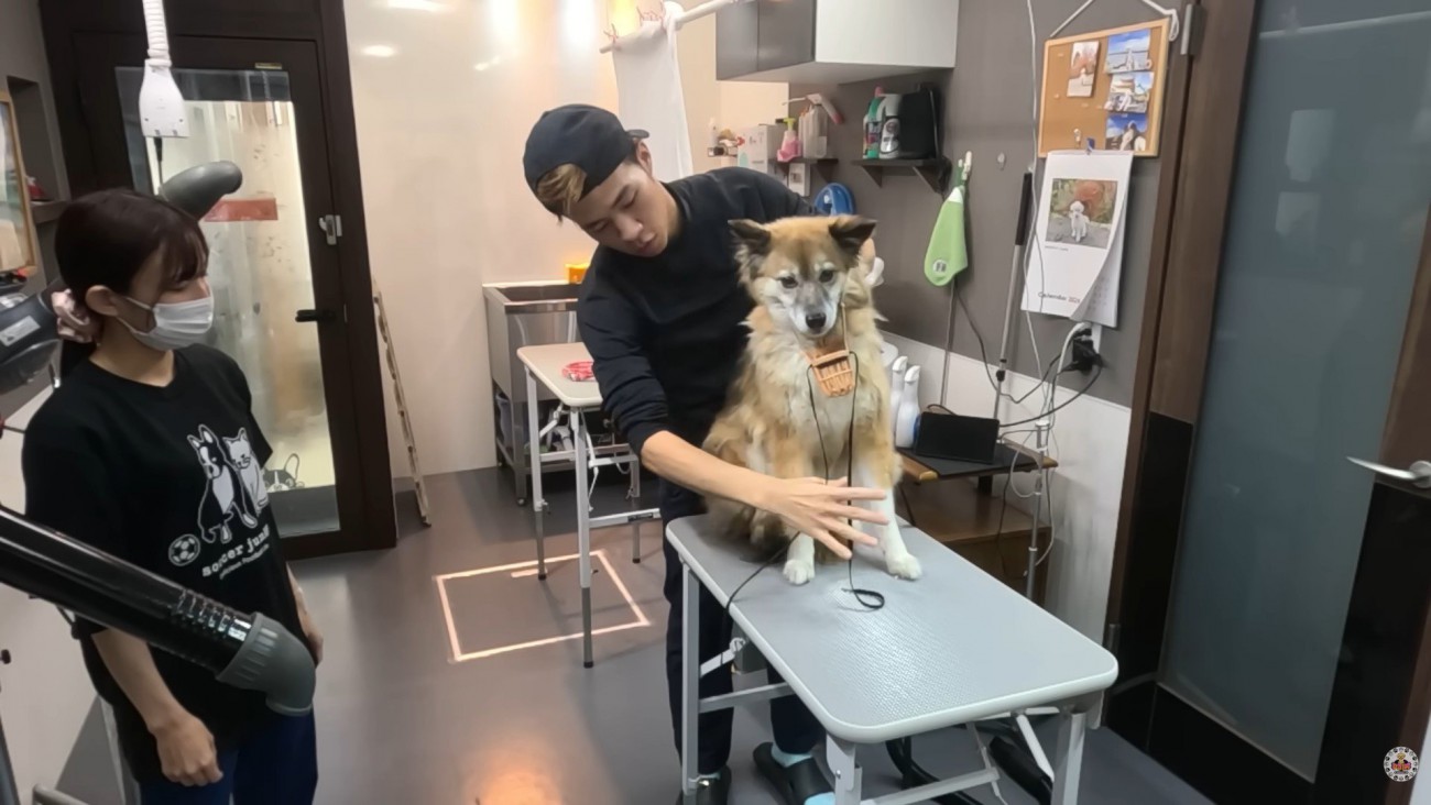 すぐに大人しくなりました