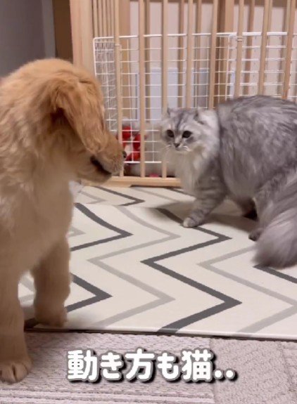 前傾体勢で回って…