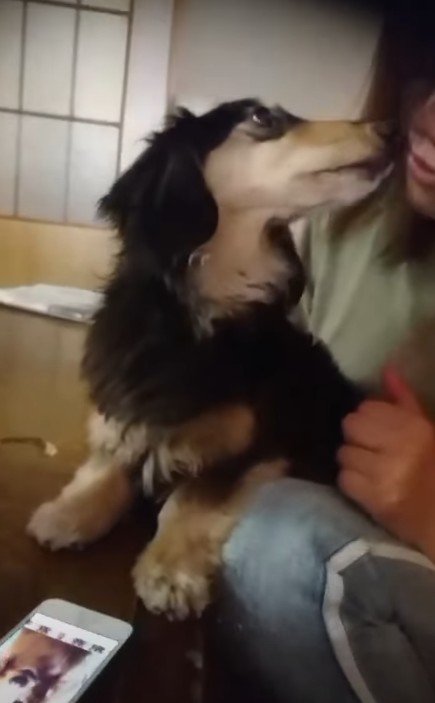 「くぅちゃんは？」