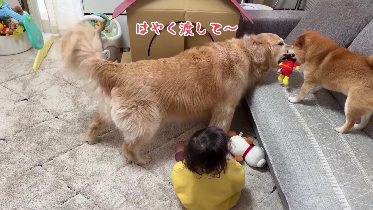 「これはほのちゃんのだよ！」