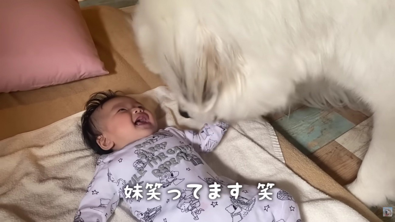 初めて笑いかけてくれた！