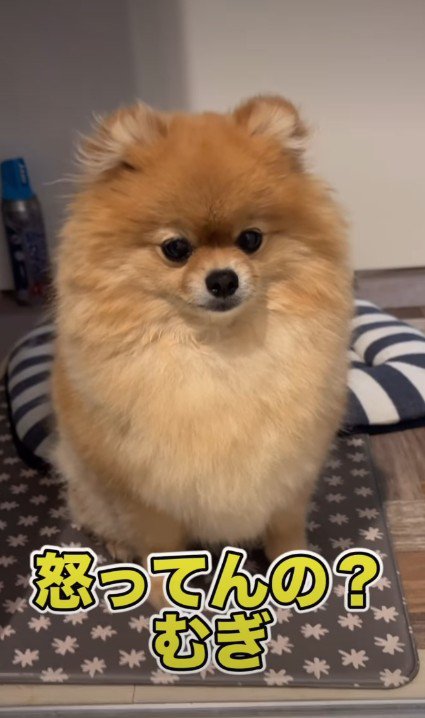「本当に大丈夫…？」