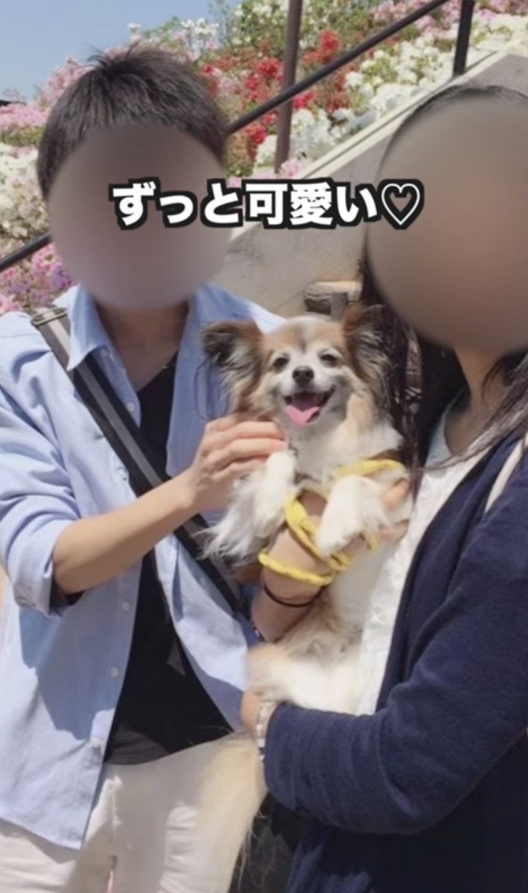 たくさんの幸せをありがとう