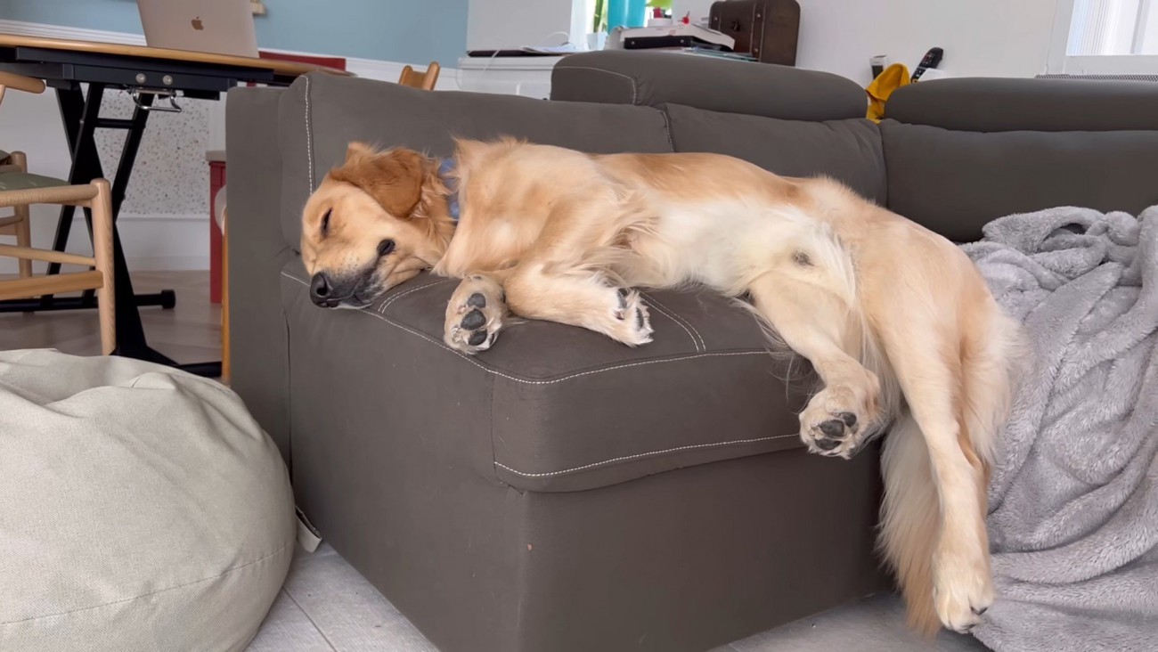 ベッドが羨ましいぷりんくん3