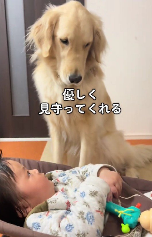 優しい眼差しで見守り