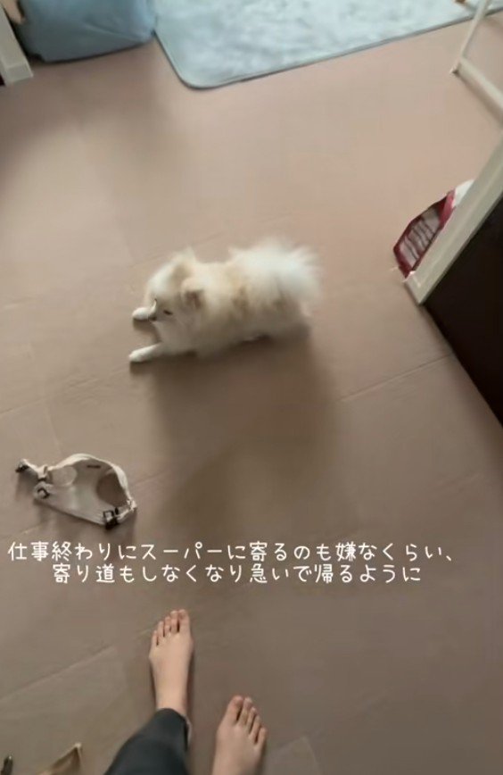 スーパーに行く時間も惜しい