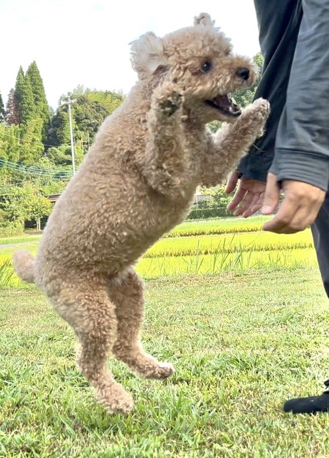 感情