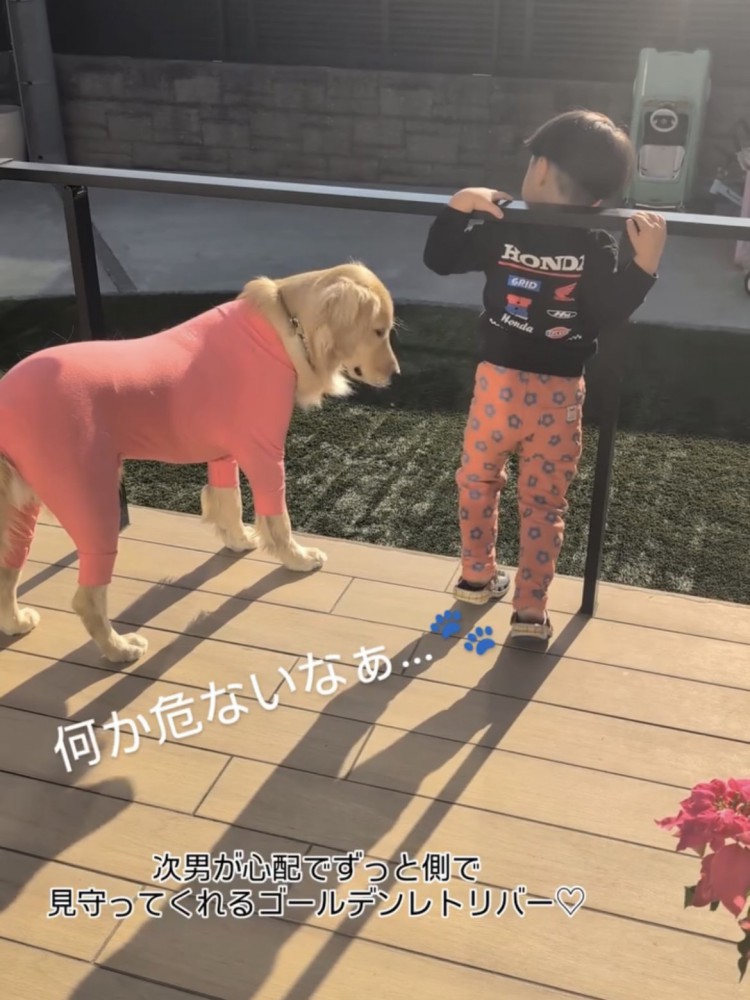ウッドデッキで外を見つめる男の子と犬