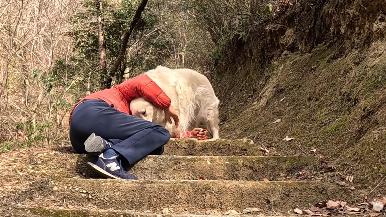 健気な姿が愛おしい