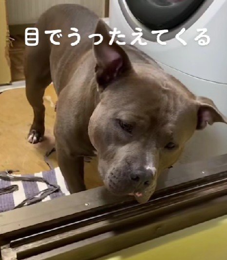 「あのボールを…」