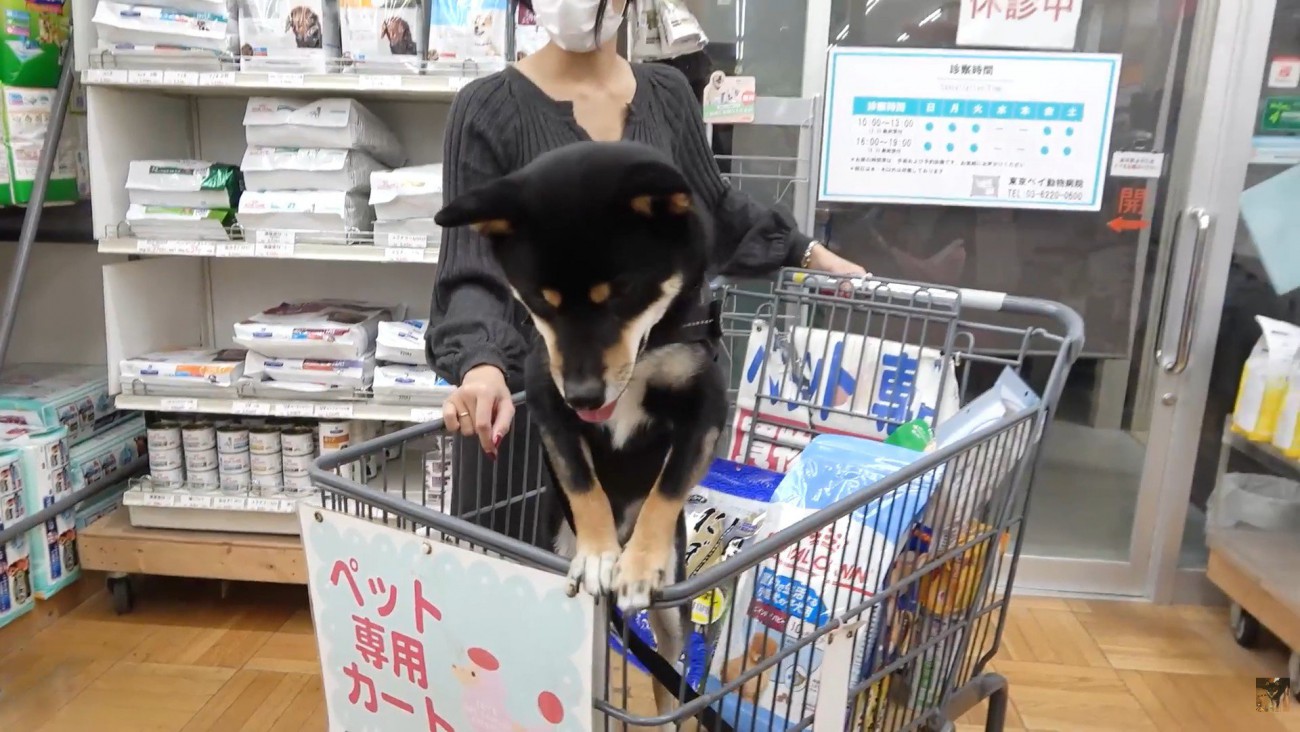 「絶対行きたくない！帰ろうよ～」