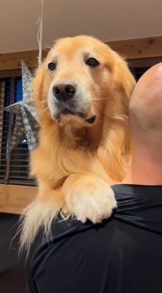 男性に抱っこされて遠くを見つめる犬