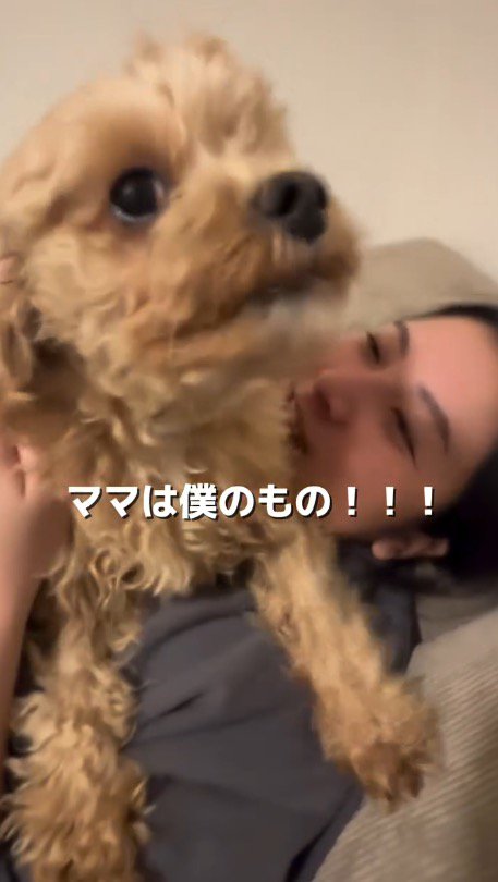 横になっている女性の体の上に乗る犬