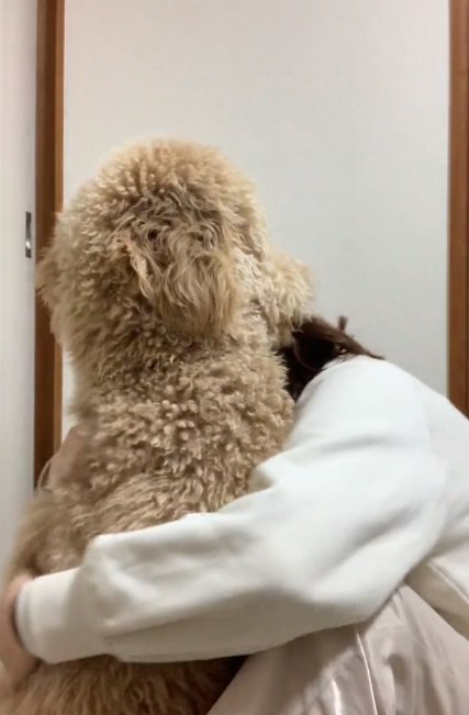 カムくんを抱きしめる投稿主さん