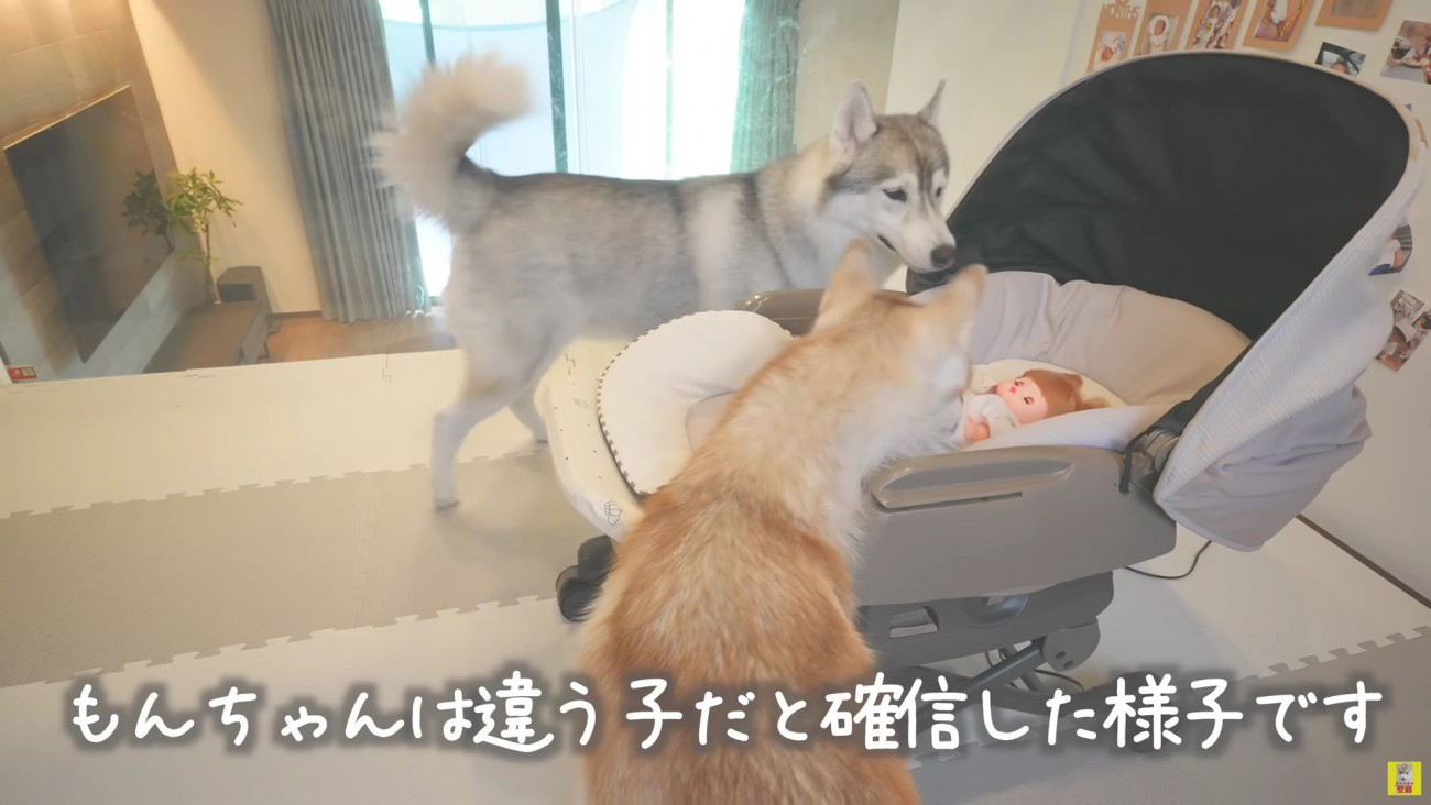 「絶対違うよね…？」