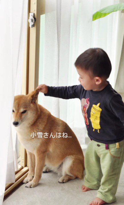 生前の小雪ちゃんは…