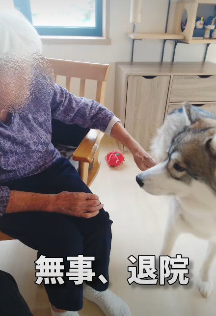 おばあちゃんが退院！！