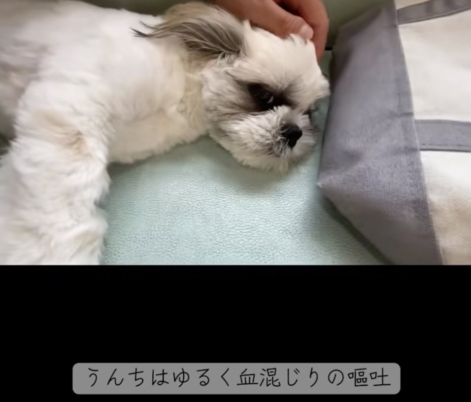 どうしたんだろう