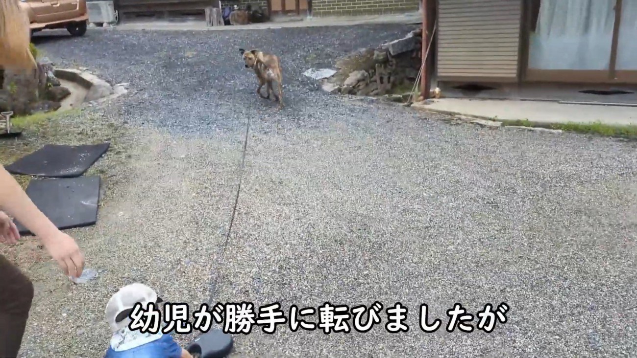 …と思いきや、転倒！