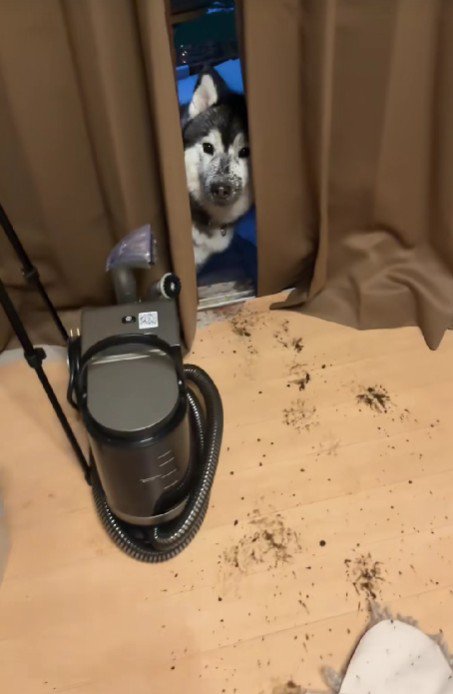 犯人は明らか！？