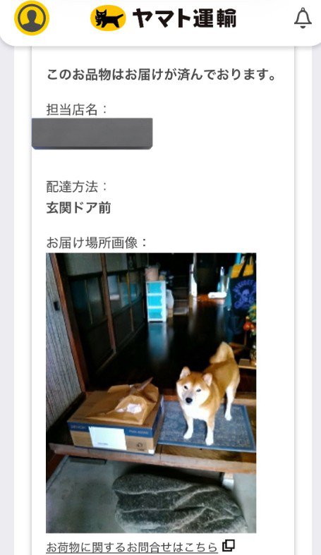 想定外の報告にホッコリ♡