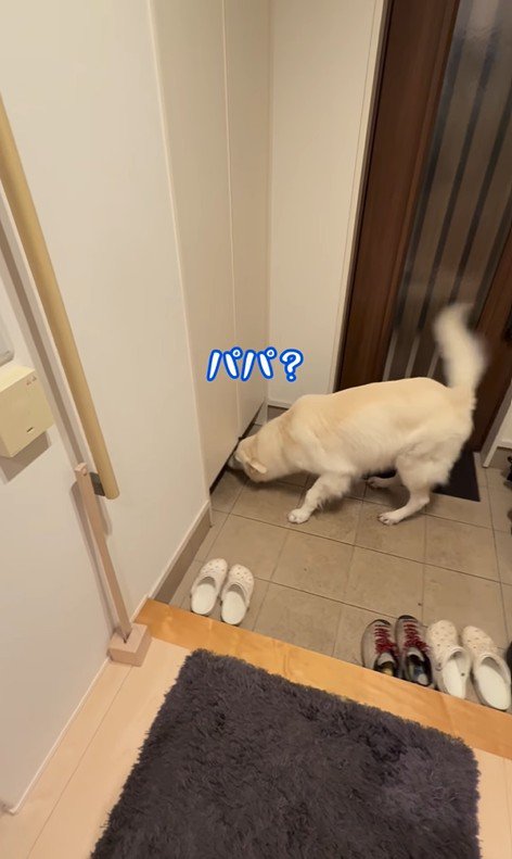 パパが隠れた時のれお君4