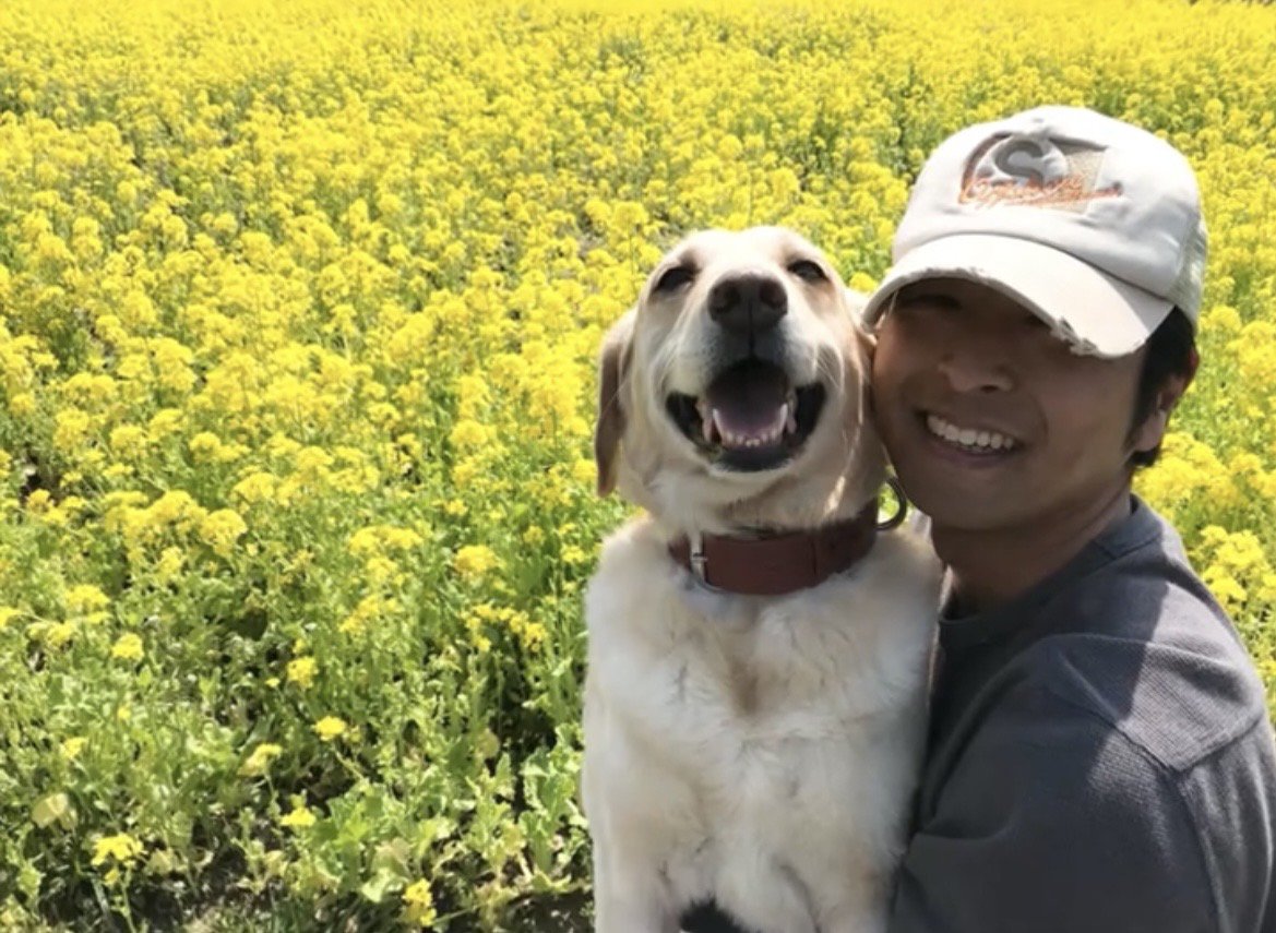 花畑で人に抱かれる犬