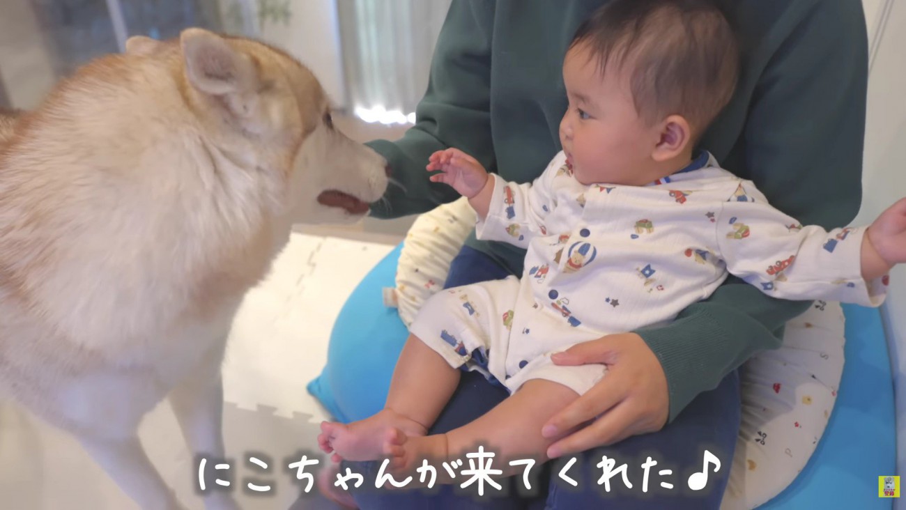 にこちゃんが登場！