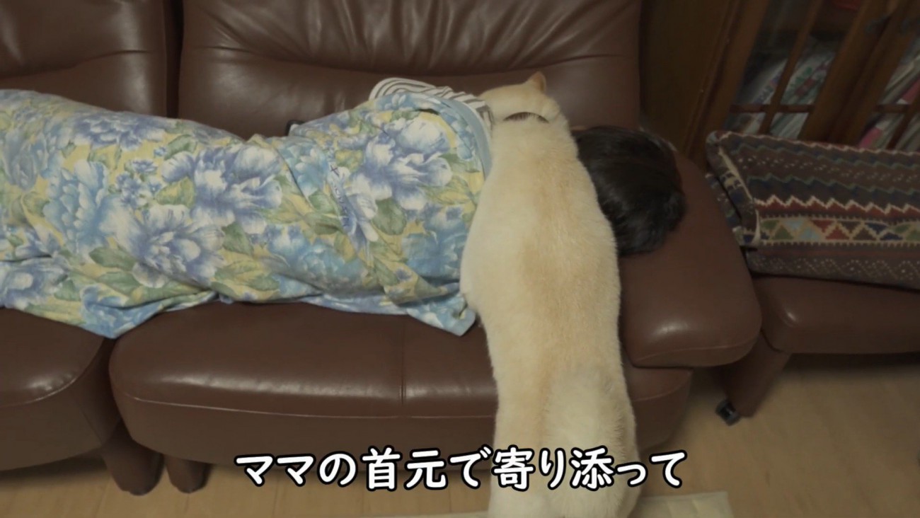 首元にぴとっ♡