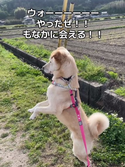 喜ぶ投稿主さん