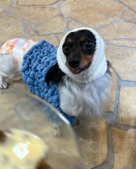 心が折れることもあったけど…