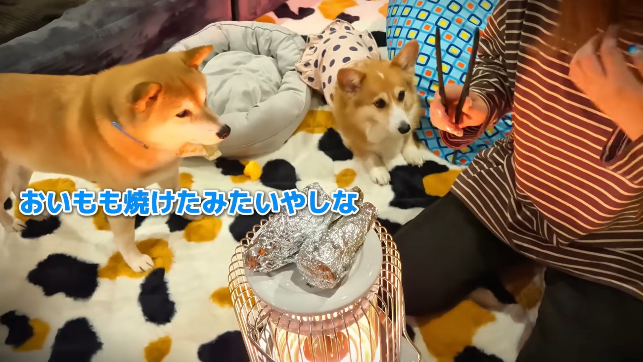 焼き芋ができました！