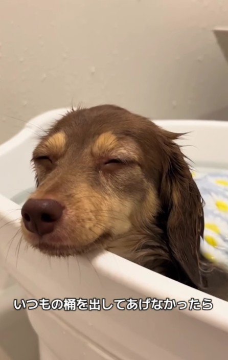 いつものバスタブが…