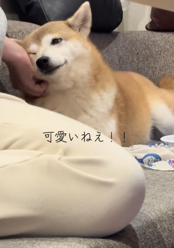 甘えモード全開