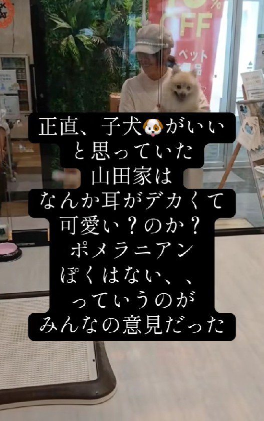 ちょっぴり大きすぎる…